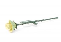 Rose Keepsake, Yellow